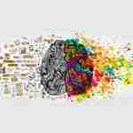 Can-we-include-EQ-in-our-D&I-manifesto